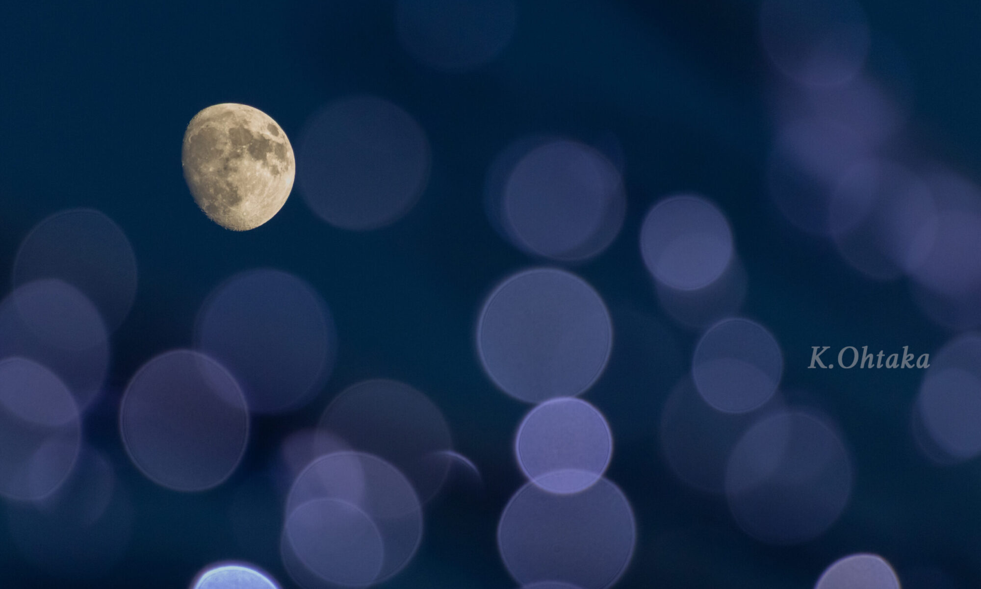 キヤノンフォトクラブNight東海