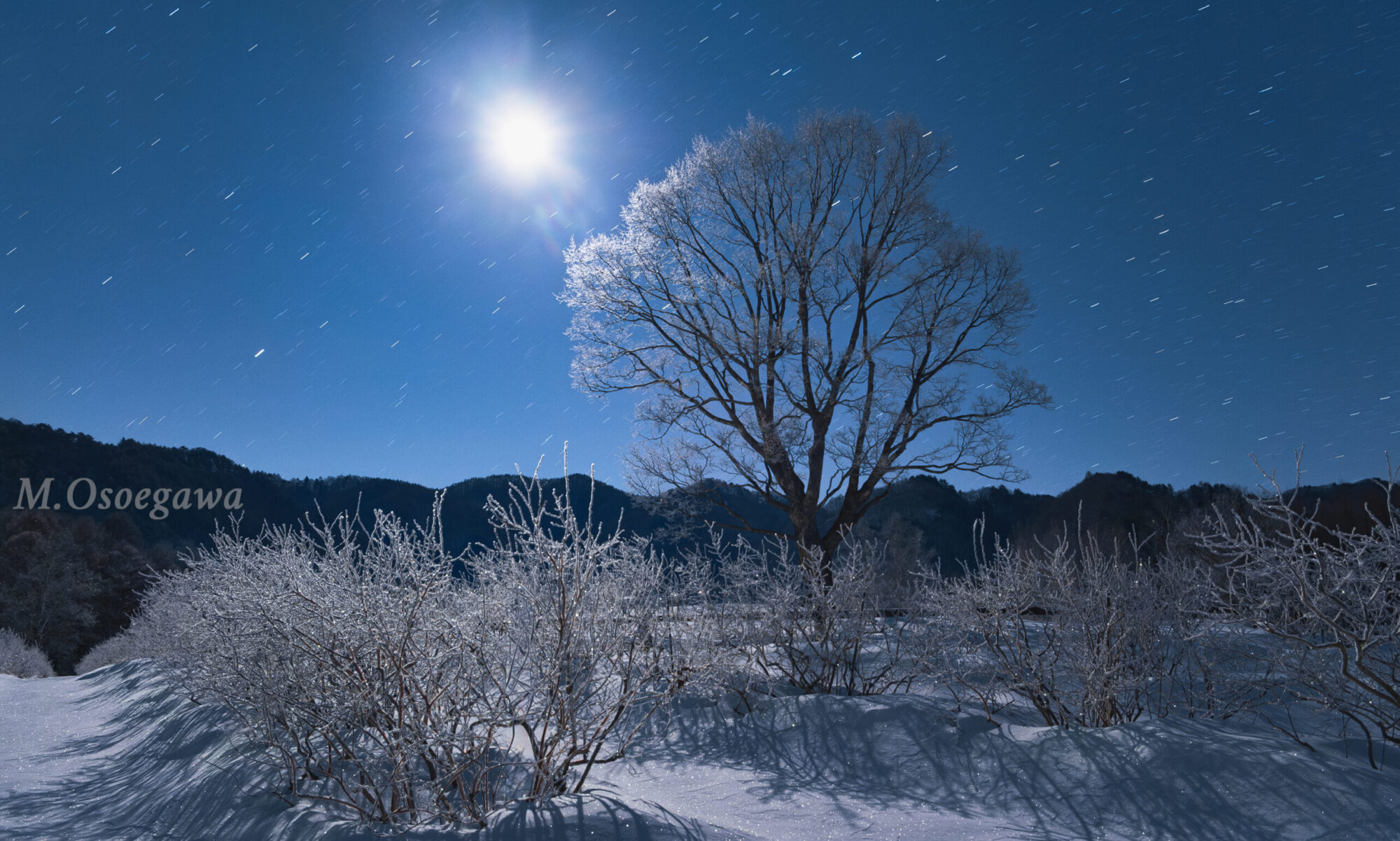 キヤノンフォトクラブNight東海